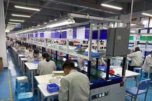 95后深圳老板的創新招聘觀 不問你工資多少，只問‘增值電信業務經營’